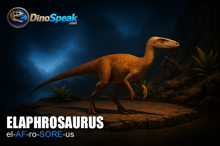 Elaphrosaurus picture