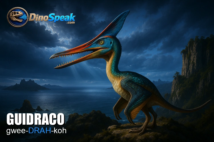 Guidraco picture