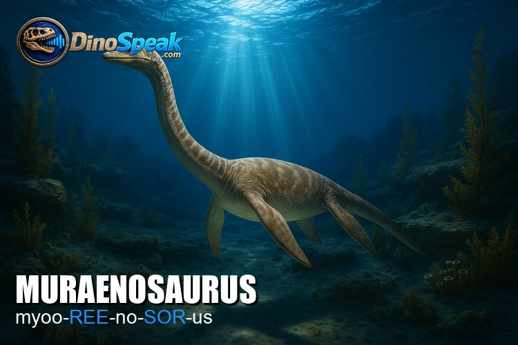 Muraenosaurus picture