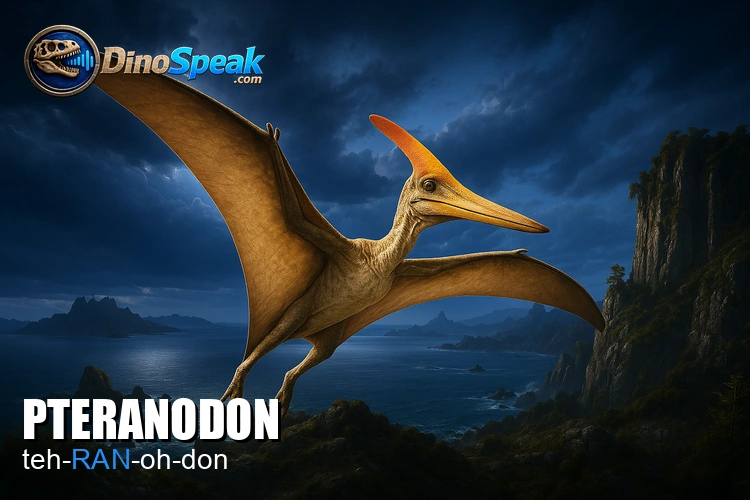 Pteranodon picture