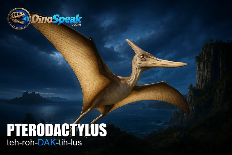 Pterodactylus picture