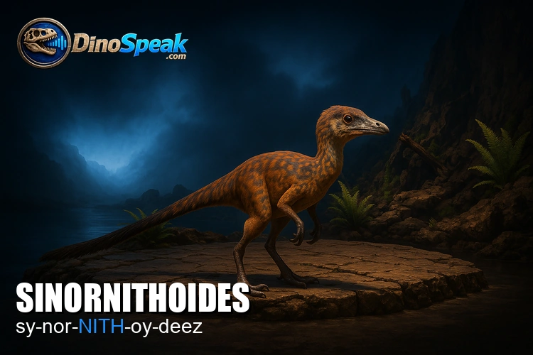 Sinornithoides picture