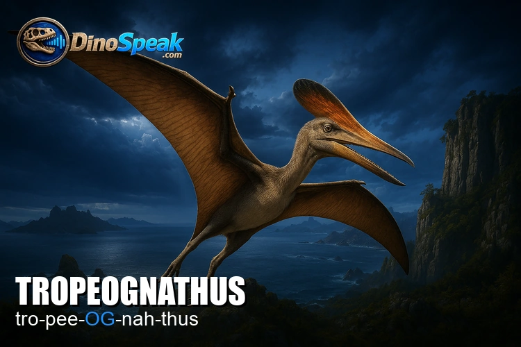 Tropeognathus picture